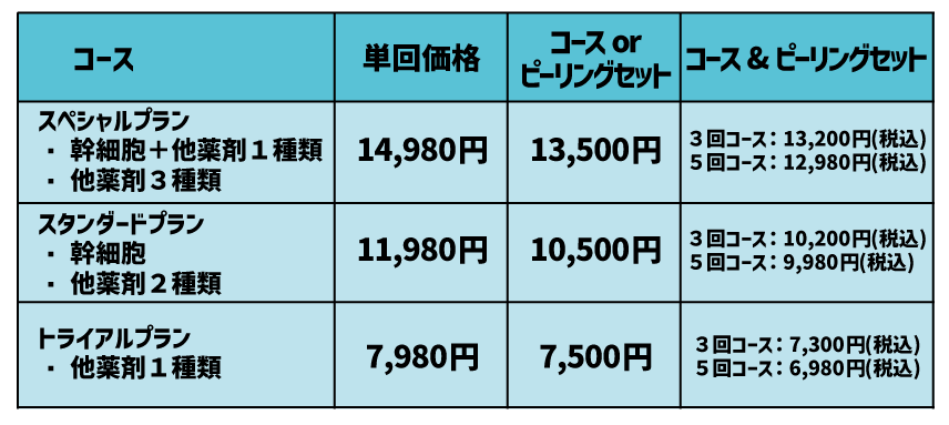 8. メニューと料金表（エレクトロポレーション）